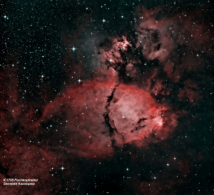 IC 1795 Fischkopfnebel